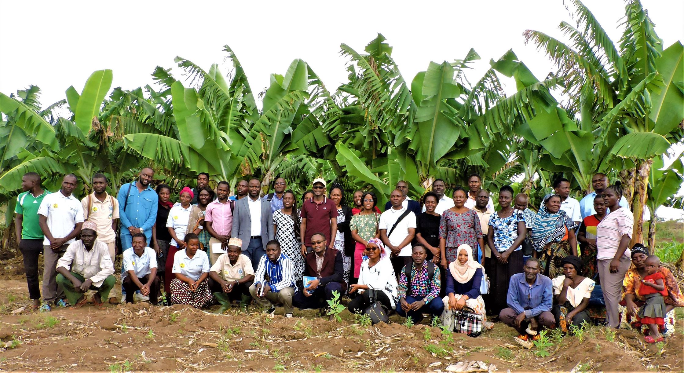 Success stories from RIPAT SUA farming technologies | Sokoine ...