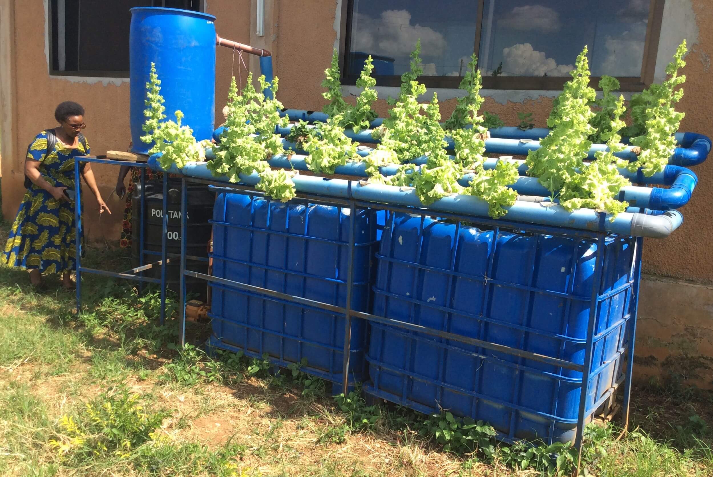 Fish Farming Training Crystallizes at SUA Sokoine University of