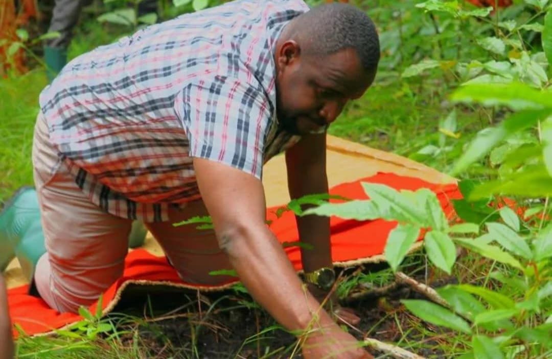 Citizens Urged to Avoid Forest Destruction for Sustainable Development 3