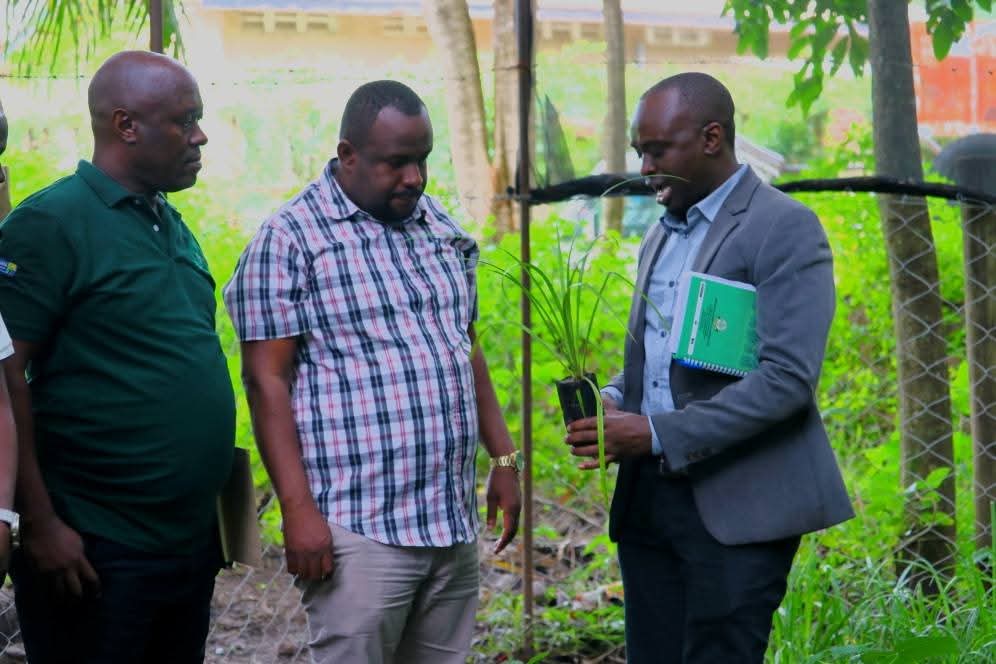 Citizens Urged to Avoid Forest Destruction for Sustainable Development2