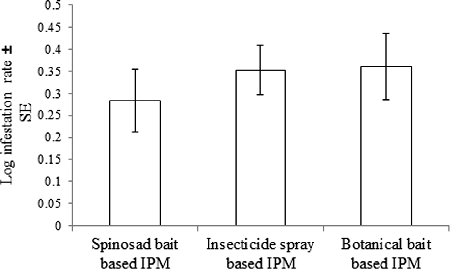 Figure 3: Infestation rate of B. dorsalis in mango