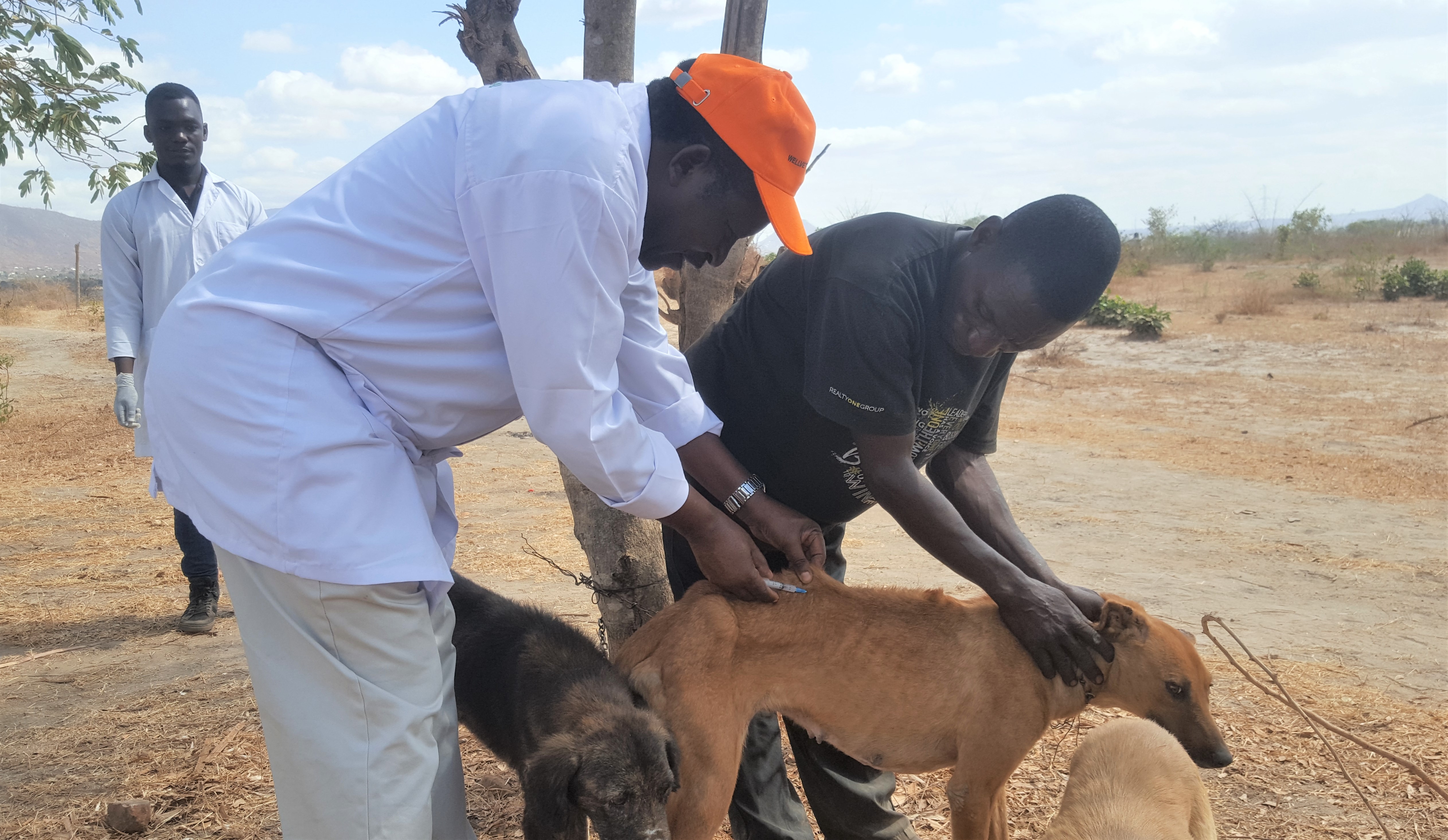 SUA Animal Referral Hospital administers rabies vaccination in Bigwa and Mindu | Sokoine University of Agriculture SUA Animal Referral Hospital administers rabies vaccination in Bigwa and Mindu | Sokoine University of Agriculture