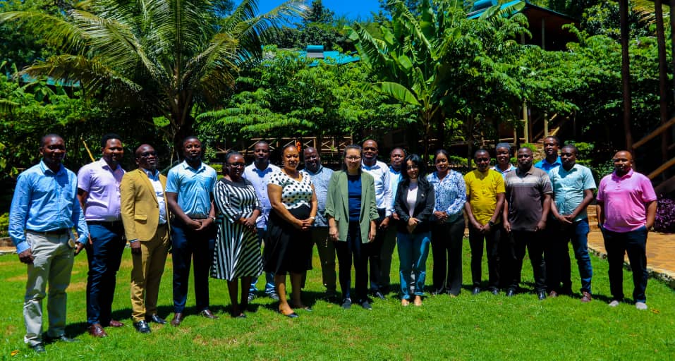 SUA Improves the Livestock Sector through Research on New Mastitis Treatments6