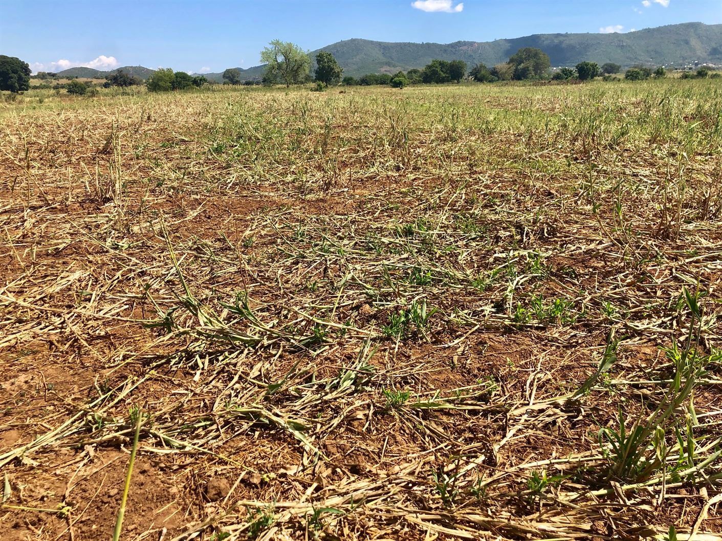 Farm after destruction