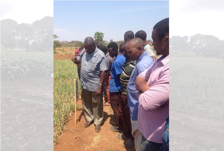 Farmers getting explanation from Prof. Marwa