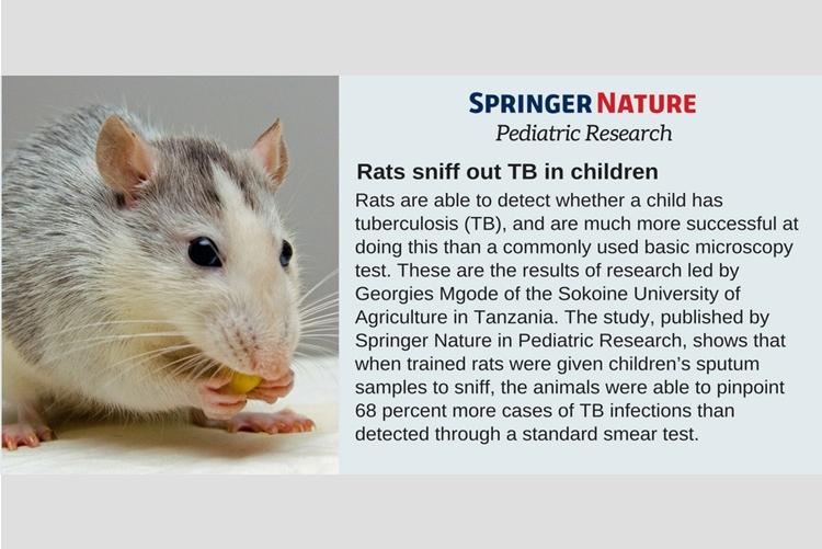 Research from SUA shows that rats can detect tuberculosis in children with higher accuracy than standard microscopy tests