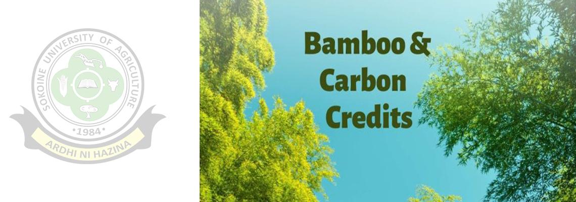 Tanzania Unveils Bamboo Strategy Incorporating Carbon Credits